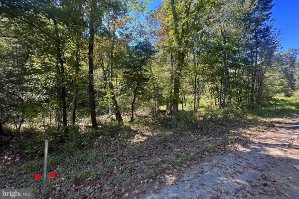 Falling Waters, WV 25419,LOTS 3 & 4 SHALE PIT DR