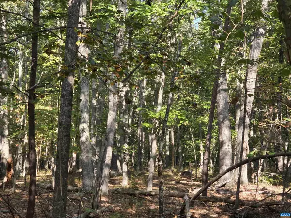 Gordonsville, VA 22942,388 MAHANES RD