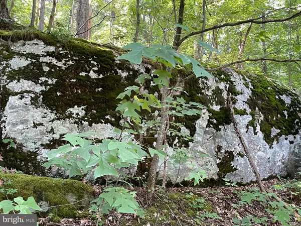 Linden, VA 22642,236 PIEDMONT ORCHARD RD