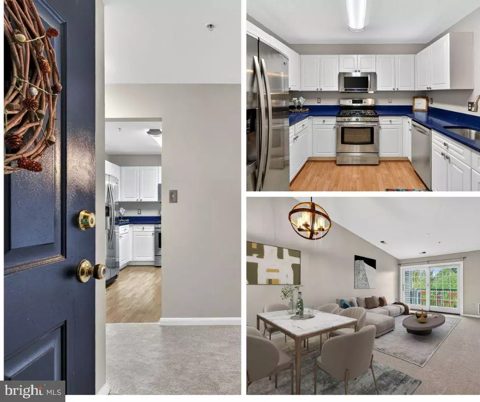 Ashburn, VA 20147,44084 NATALIE TER #301