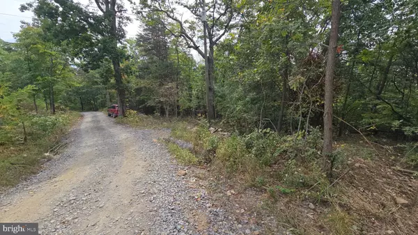 Luray, VA 22835,LOT 20 LONG VIEW DR