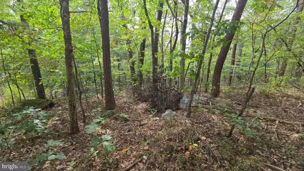 Luray, VA 22835,LOT 20 LONG VIEW DR