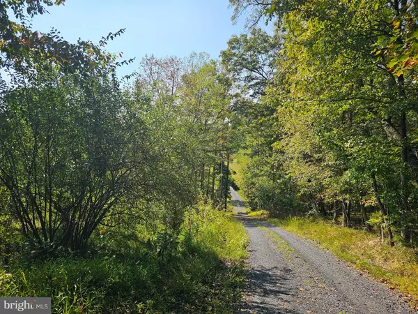 Front Royal, VA 22630,510 WINDY PINES RD