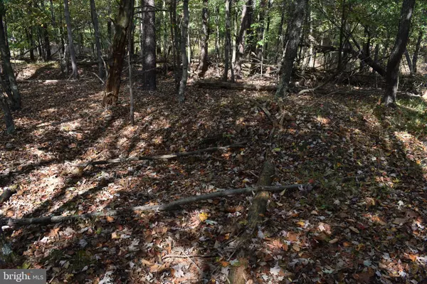 Berkeley Springs, WV 25411,19 MOUNTAIN LAUREL DR