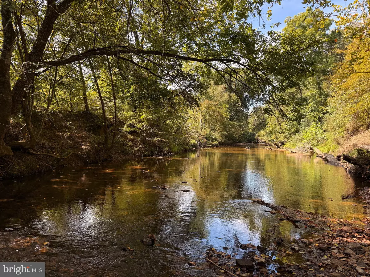 Appomattox, VA 24522,0 COLEMAN MOUNTAIN RD