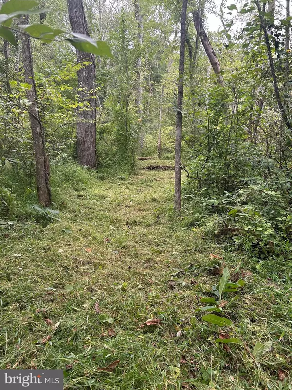 Farnham, VA 22460,LUTTREVILLE LN