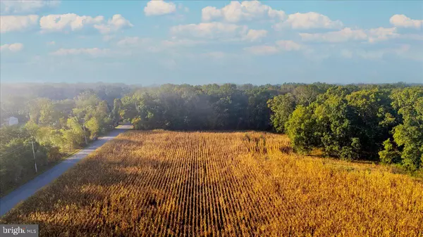 Franklinville, NJ 08322,L 1.02 STANTON AVE