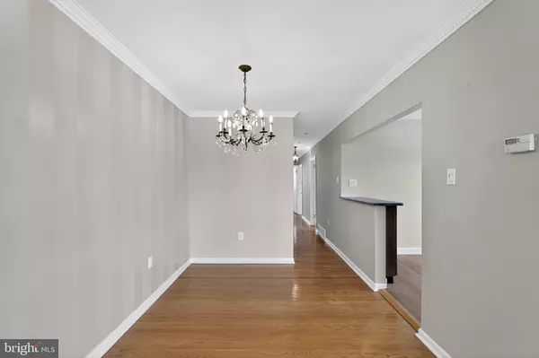 Philadelphia, PA 19111,811 BORBECK AVE