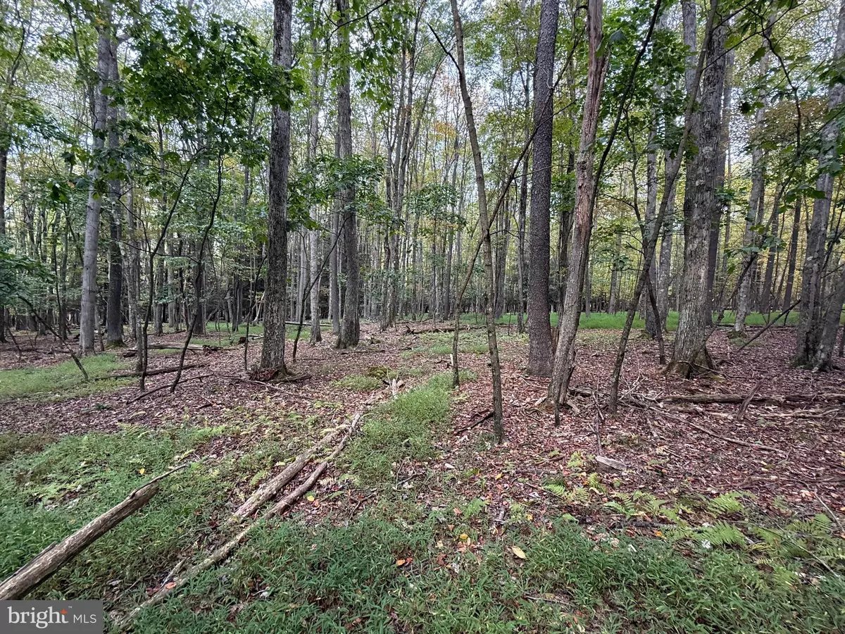 Oakland, MD 21550,0 LAKE SHORE DRIVE