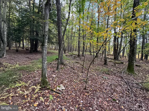 Oakland, MD 21550,0 LAKE SHORE DRIVE