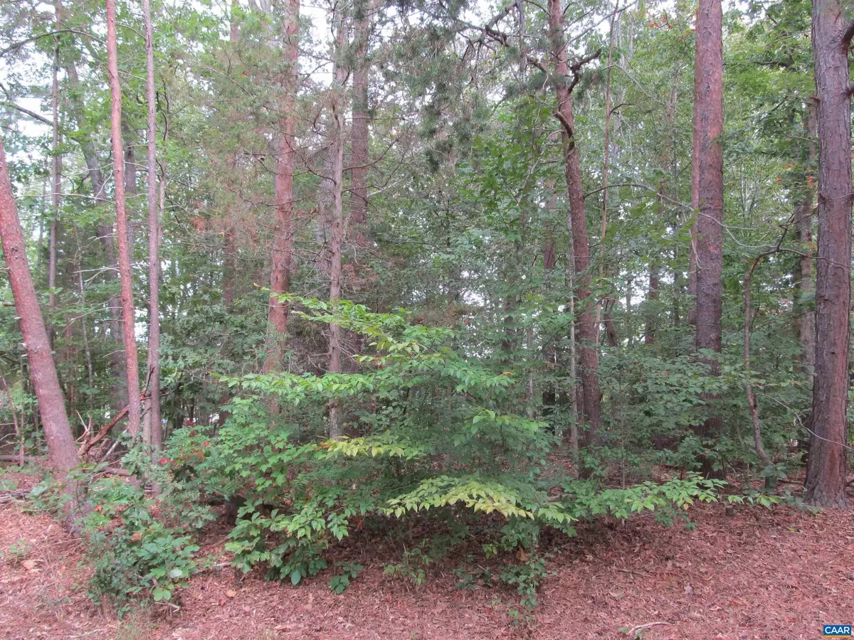 Palmyra, VA 22963,10 ENGLEWOOD DR #199