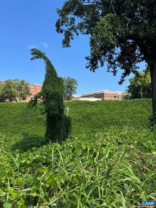 Charlottesville, VA 22903,301 PATON ST #A & B