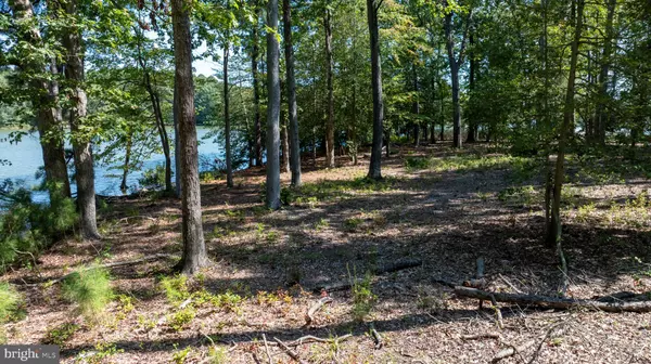 Saint Michaels, MD 21663,BOZMAN NEAVITT