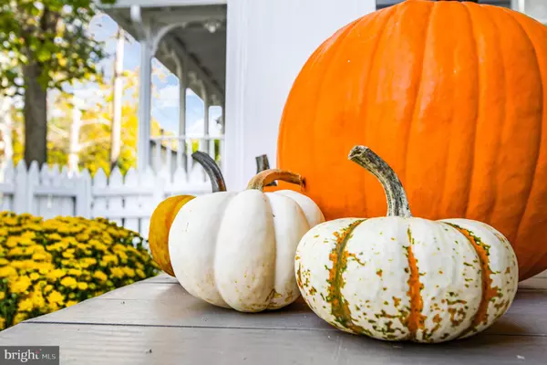 Chestertown, MD 21620,517 HIGH ST