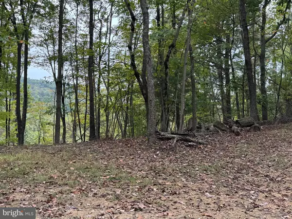 Hedgesville, WV 25427,0 CANNON HILL ROAD