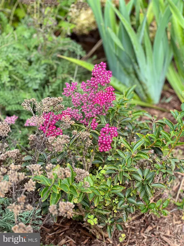 Culpeper, VA 22701,1314 S WEST ST