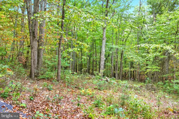 New Market, VA 22844,974 SUNDANCE RETREAT LN