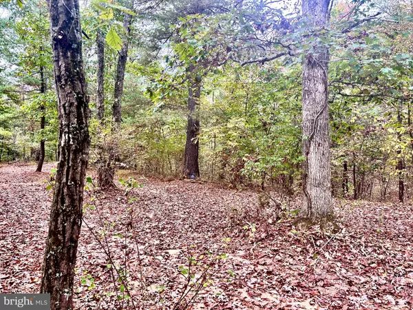 Hedgesville, WV 25427,PARCEL 38 CONSERVATION DRIVE