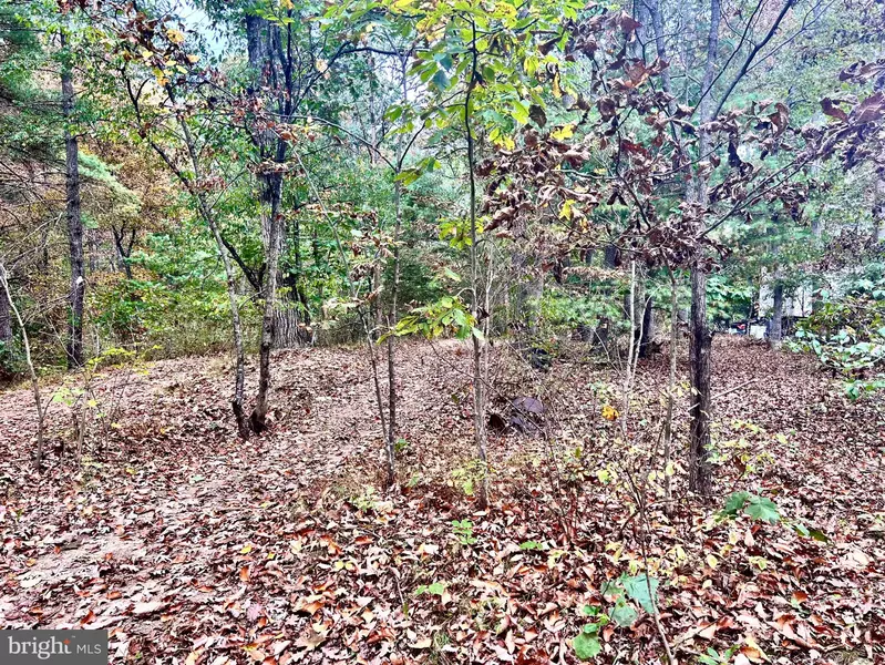 PARCEL 38 CONSERVATION DRIVE, Hedgesville, WV 25427