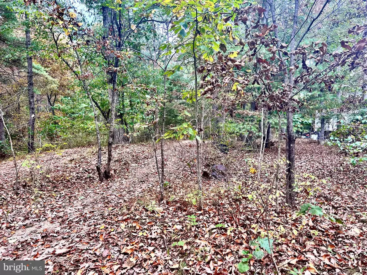 Hedgesville, WV 25427,PARCEL 38 CONSERVATION DRIVE