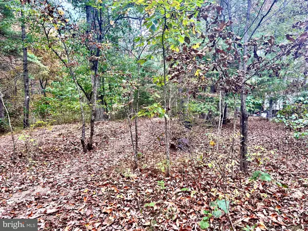 PARCEL 38 CONSERVATION DRIVE, Hedgesville, WV 25427