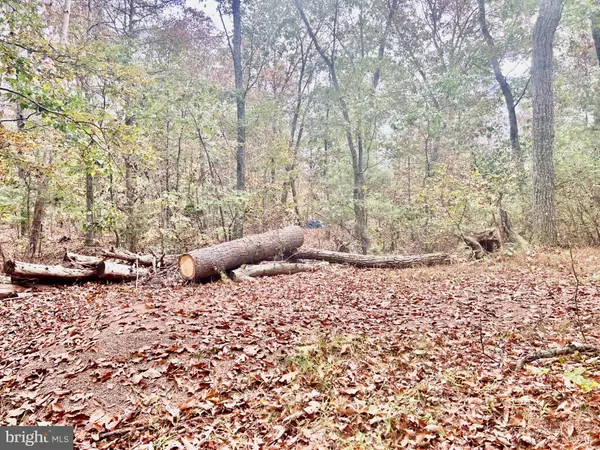Hedgesville, WV 25427,PARCEL 38 CONSERVATION DRIVE