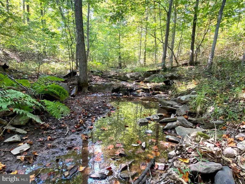 LOT 17 JERMIKEY CT, Hedgesville, WV 25427