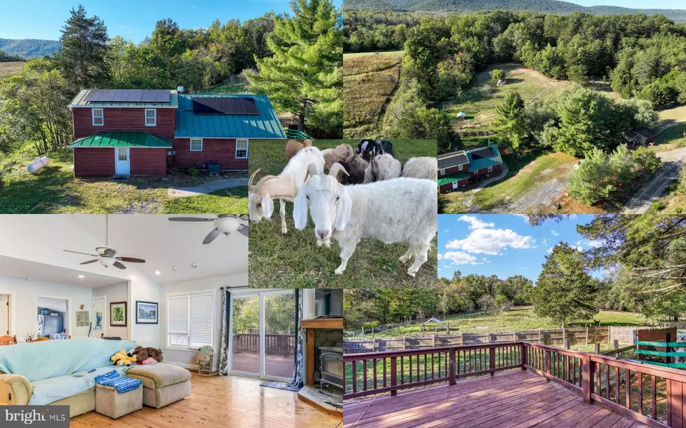 100 WOLFS LN, Fort Valley, VA 22652