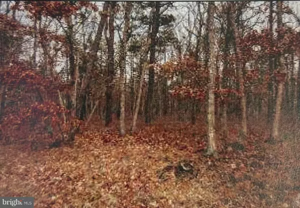 Forked River, NJ 08731,0 ELSIAH ST