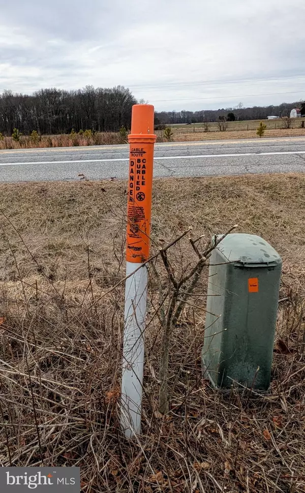 Centreville, MD 21617,NEIGHBORS RD