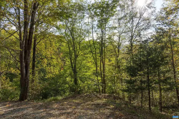 Afton, VA 22920,TBD CHERRY GROVE LN