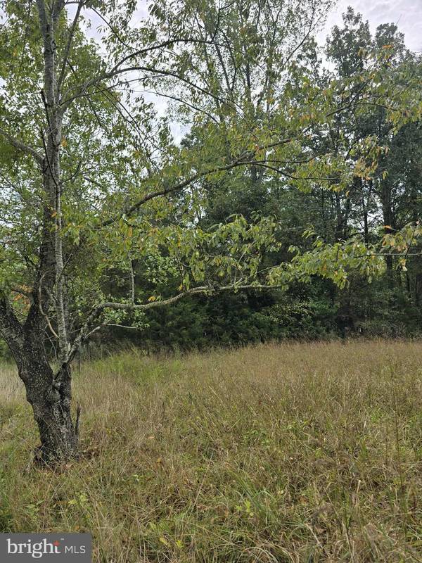 Madison, VA 22727,MAIN UNO BAPTIST CHURCH