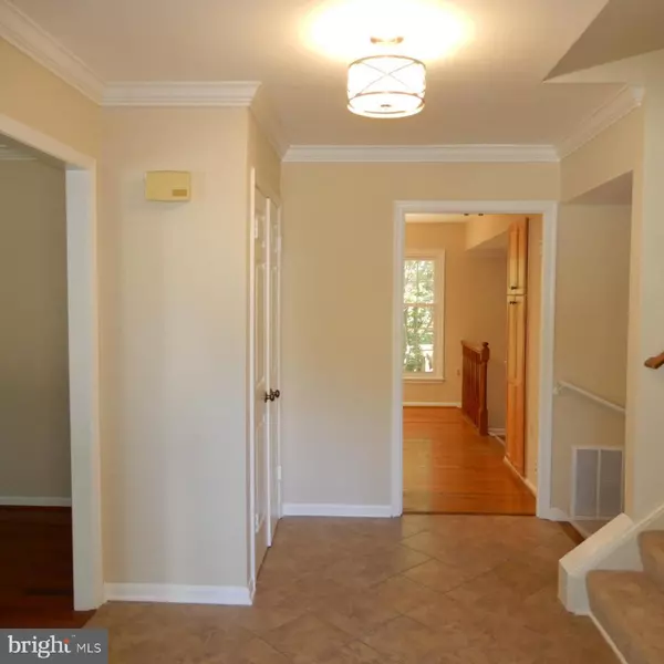 Springfield, VA 22152,7014 MAPLE TREE LN