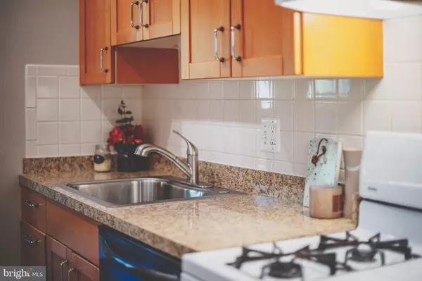 Reston, VA 20190,11260 CHESTNUT GROVE SQ #339