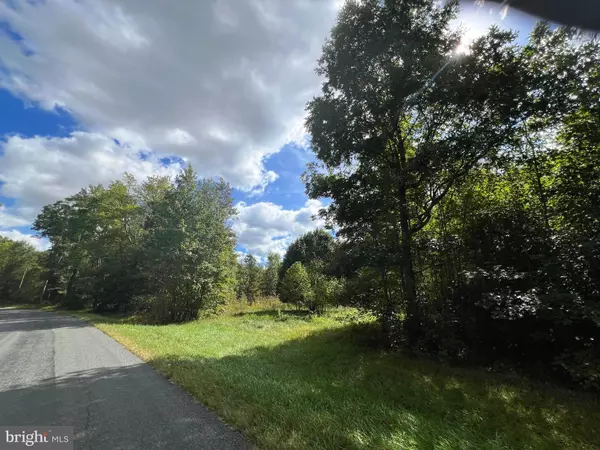 Harrington, DE 19952,0 PINEPITCH RD