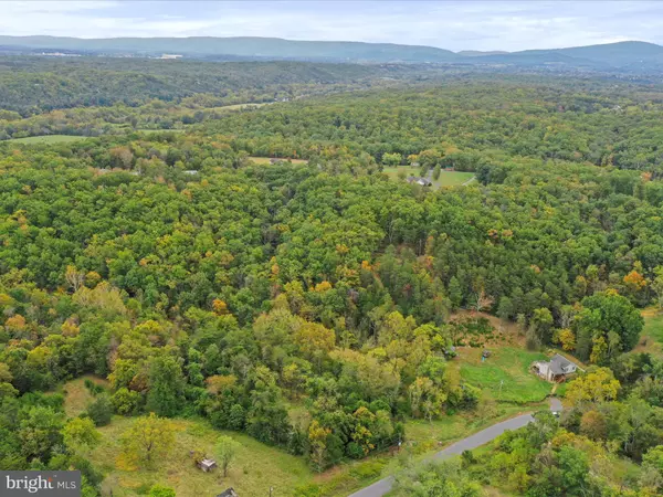 Strasburg, VA 22657,ANDREWS RD