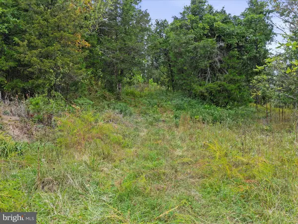 Strasburg, VA 22657,ANDREWS RD