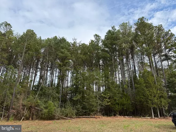 Esmont, VA 22937,0 OLD GREEN MOUNTAIN RD