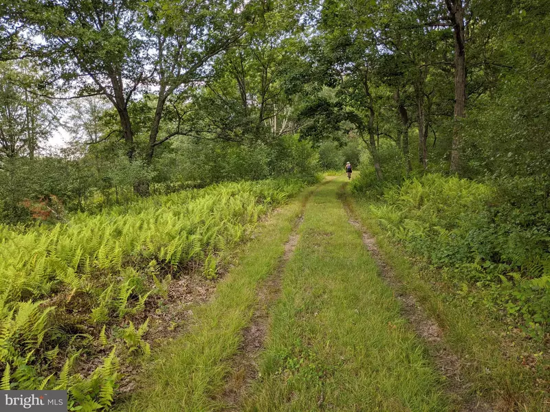 614 GRAYSTONES JERAS RD LOT S-10, Albrightsville, PA 18210