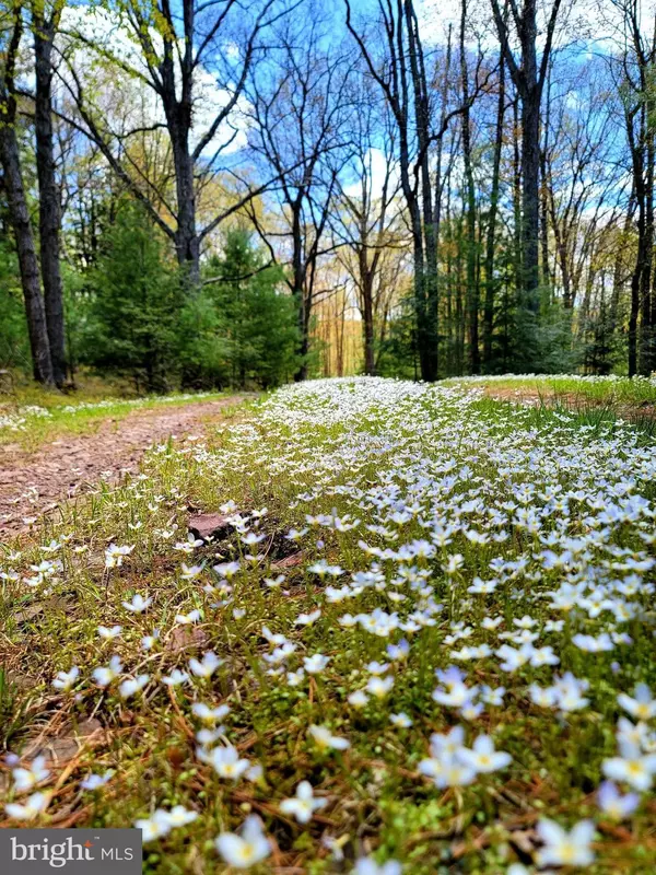 Albrightsville, PA 18210,614 GRAYSTONES JERAS RD LOT SV-2