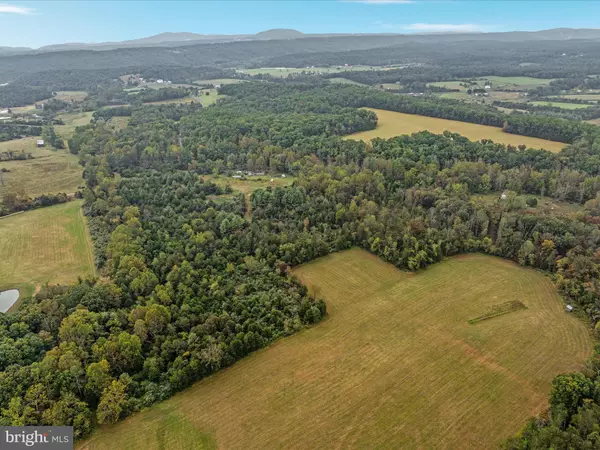 Edinburg, VA 22824,0 DELLINGER GAP RD