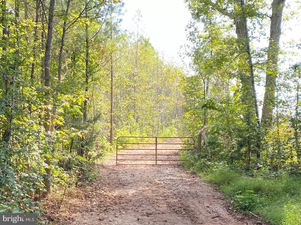 Alberta, VA 23821,684 SQUIRREL HOLLOW RD