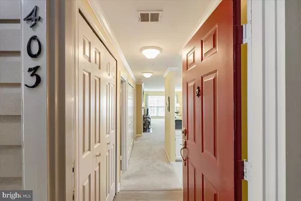 Alexandria, VA 22304,244 S REYNOLDS ST #403