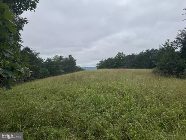 Fort Valley, VA 22652,574 MOUNTAIN SLOPE LANE