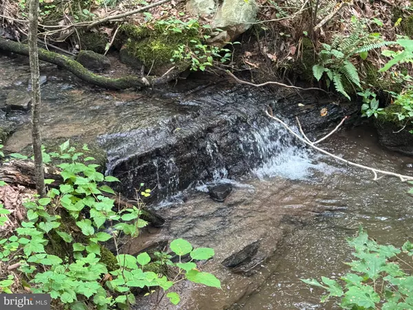 Fort Valley, VA 22652,574 MOUNTAIN SLOPE LANE