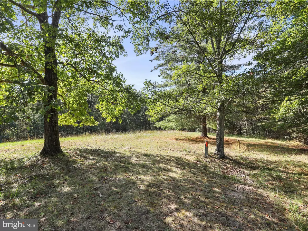 Fort Valley, VA 22652,003 MOUNTAIN SLOPE LANE