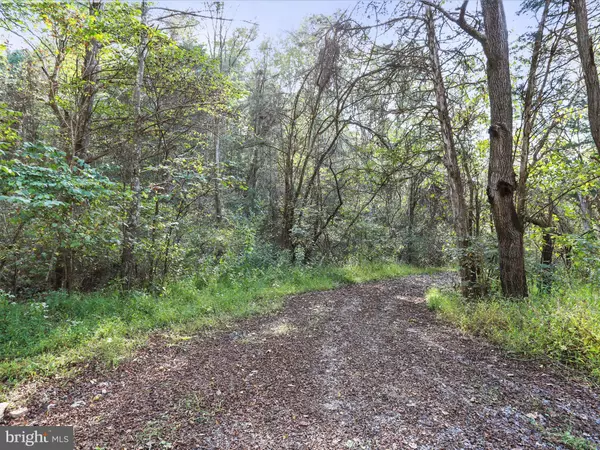 Fort Valley, VA 22652,003 MOUNTAIN SLOPE LANE