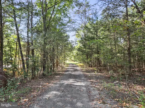 Fort Valley, VA 22652,003 MOUNTAIN SLOPE LANE