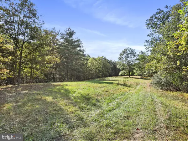 Fort Valley, VA 22652,003 MOUNTAIN SLOPE LANE