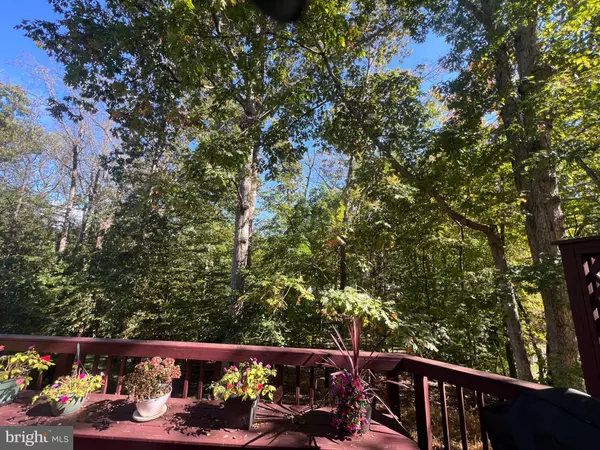 Woodbridge, VA 22192,11977 WILLIAM AND MARY CIR